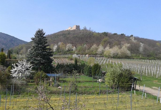 Bild 3