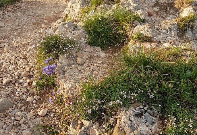 Bild 18