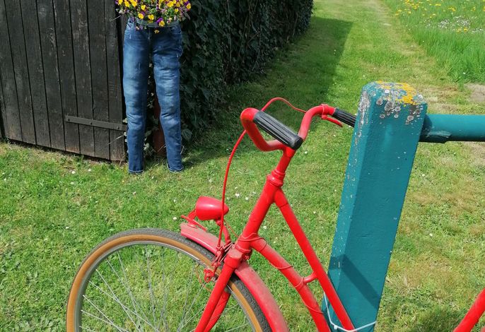 Bild 8