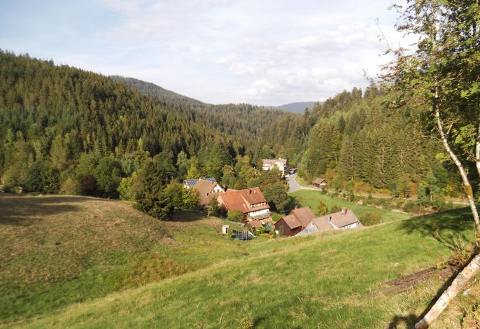 Bild 10