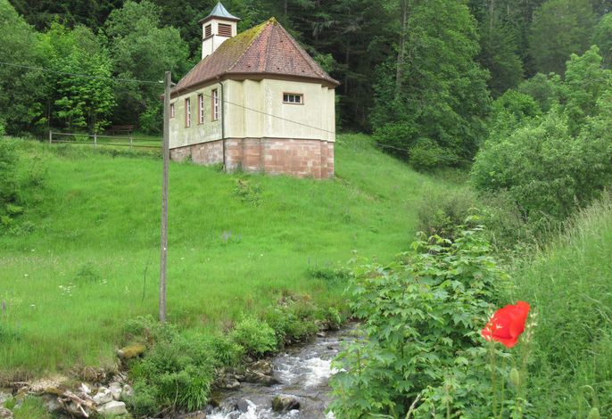 Bild 12