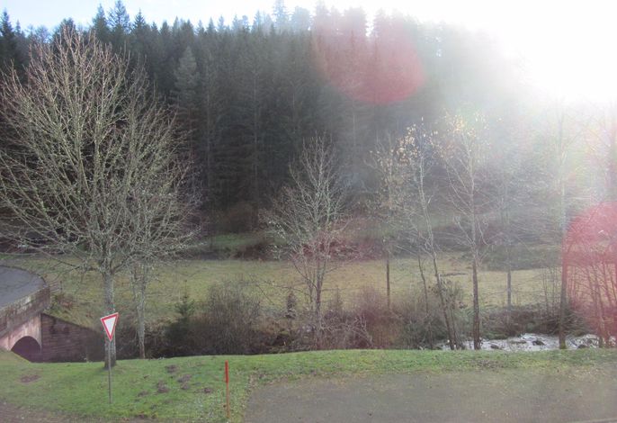 Bild 14