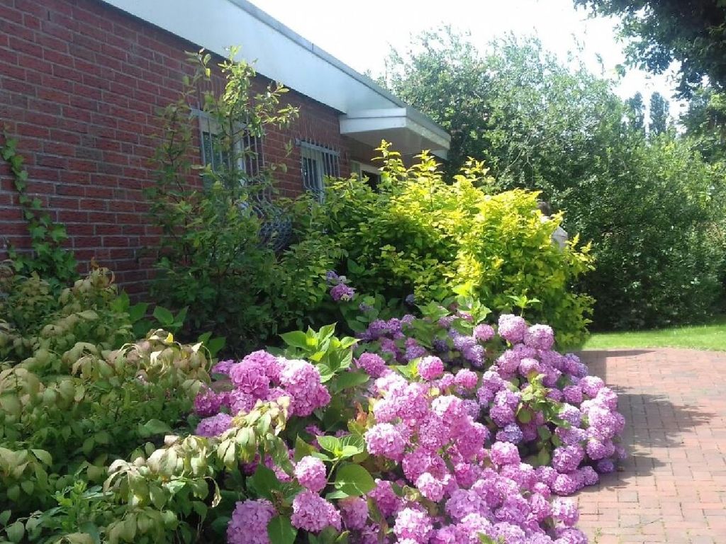 Ferienbungalow Hortensie