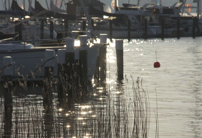 Bild 17