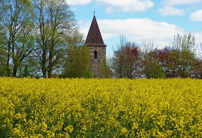 Bild 14