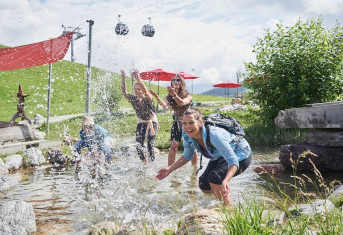 Bild 21
