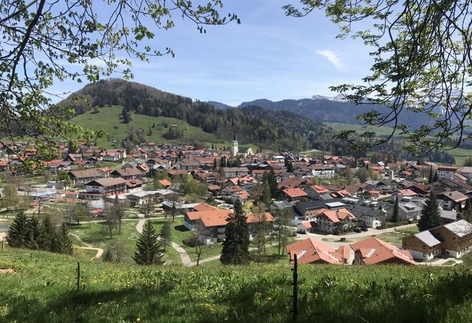 Bild 12