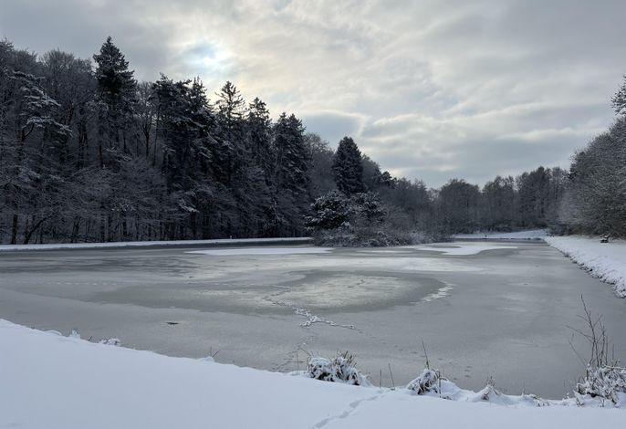 Bild 12
