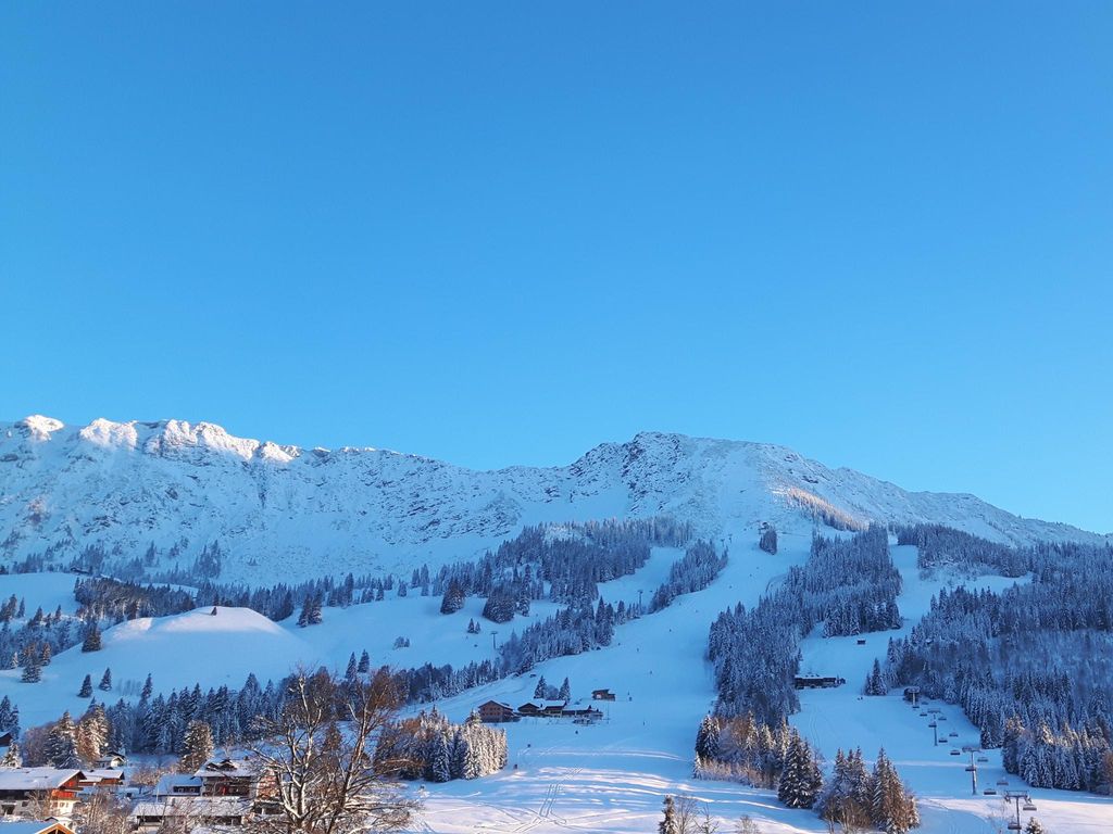 Hotel-Alpengasthof Löwen