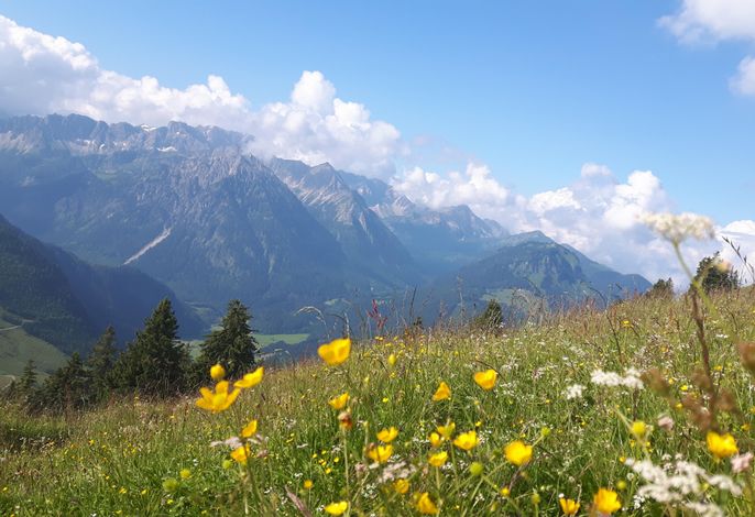Bild 18
