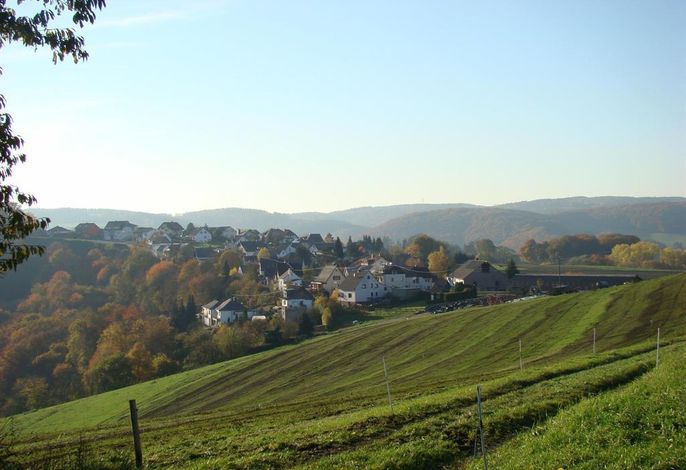 Bild 11