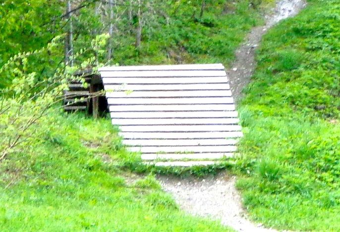 Bild 48