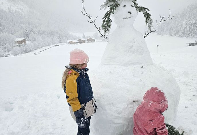 Bild 44