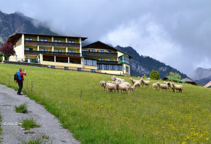 Bild 12