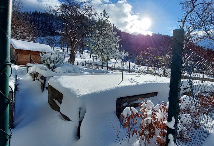 Bild 18