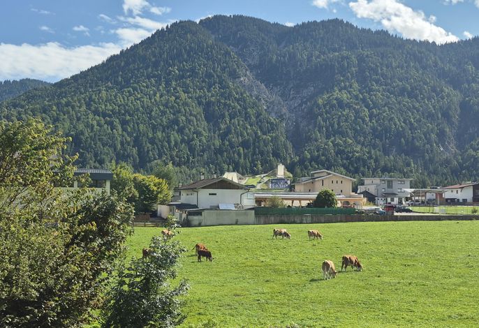 Bild 15