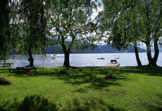 Bild 14