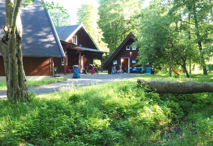 Bild 50