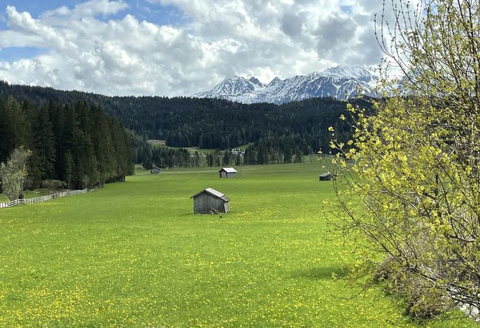 Bild 17