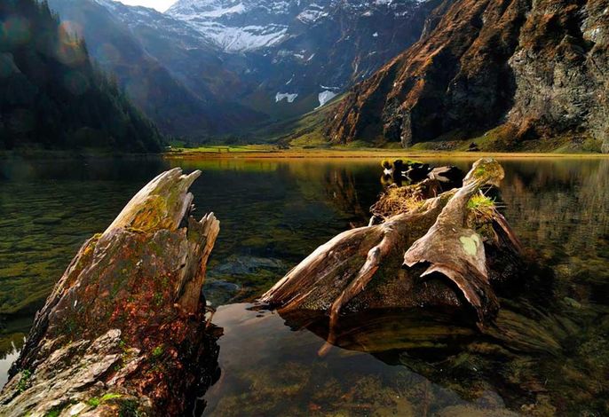 Bild 95