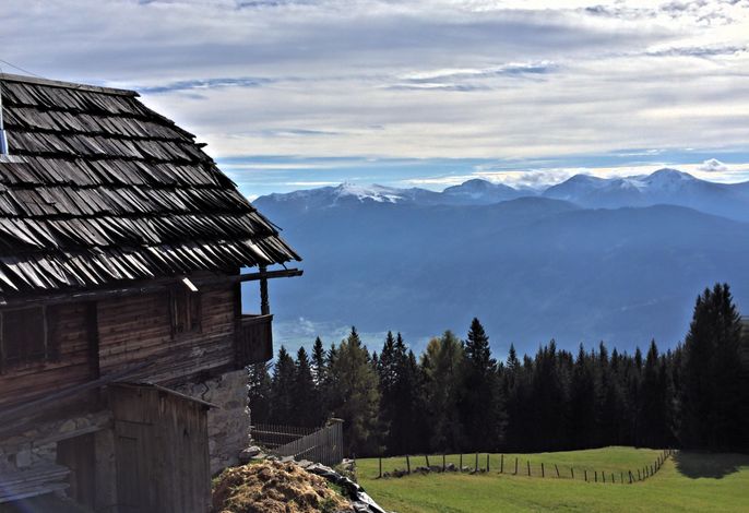 Bild 100