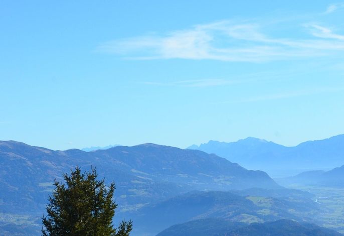 Bild 81