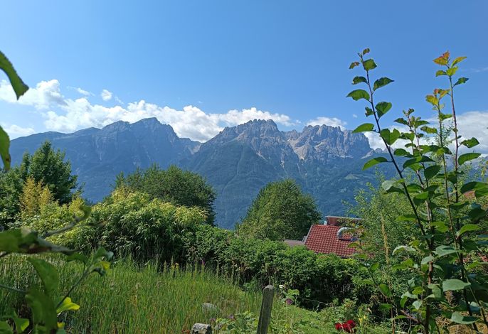 Bild 50