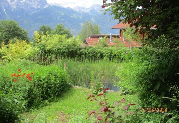 Bild 36