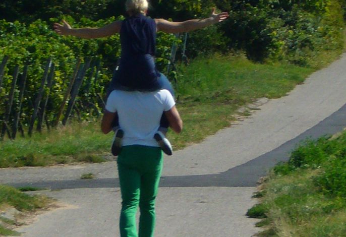 Bild 24
