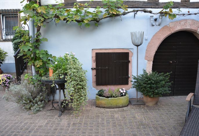 Bild 13