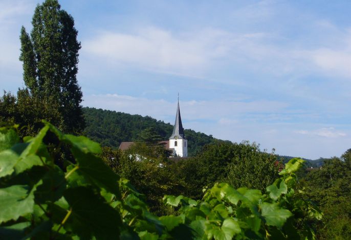 Bild 18