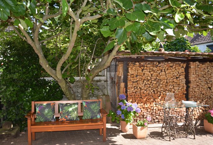 Bild 12