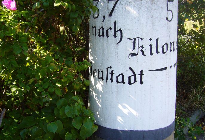 Bild 20