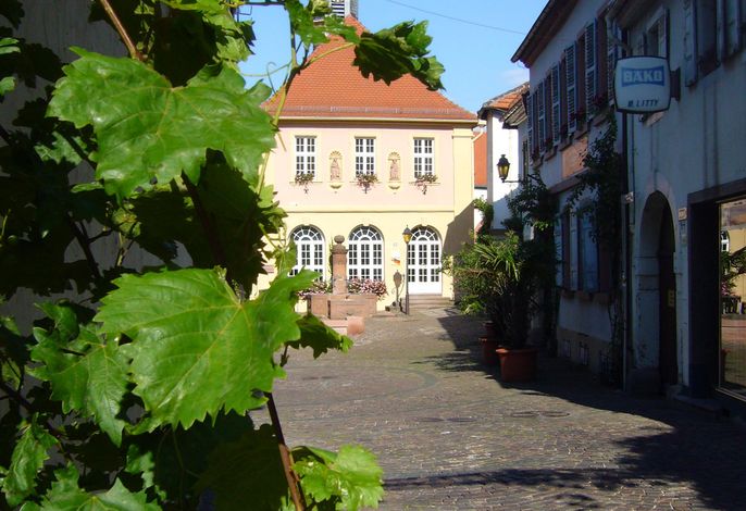 Bild 22