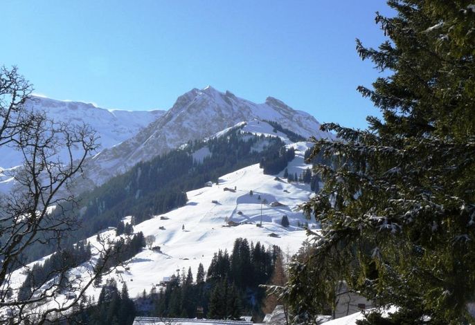 Bild 3