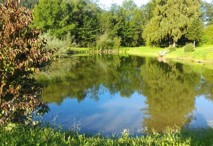 Bild 16