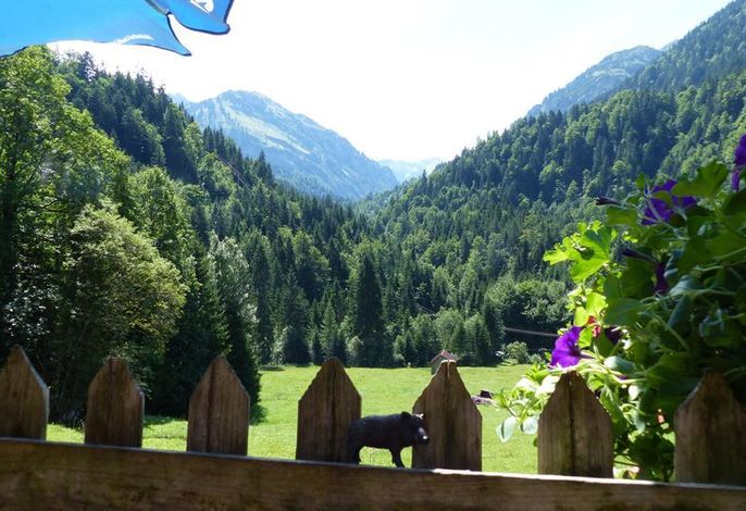 Bild 11