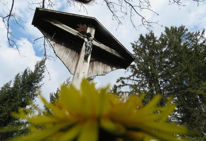 Bild 19