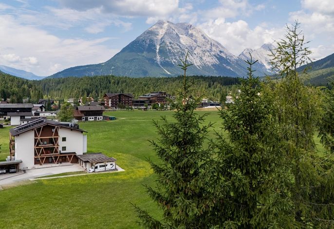 Bild 15