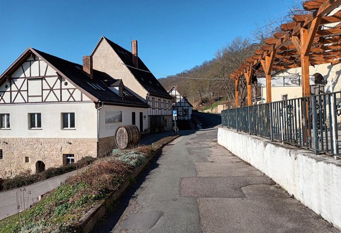 Bild 15