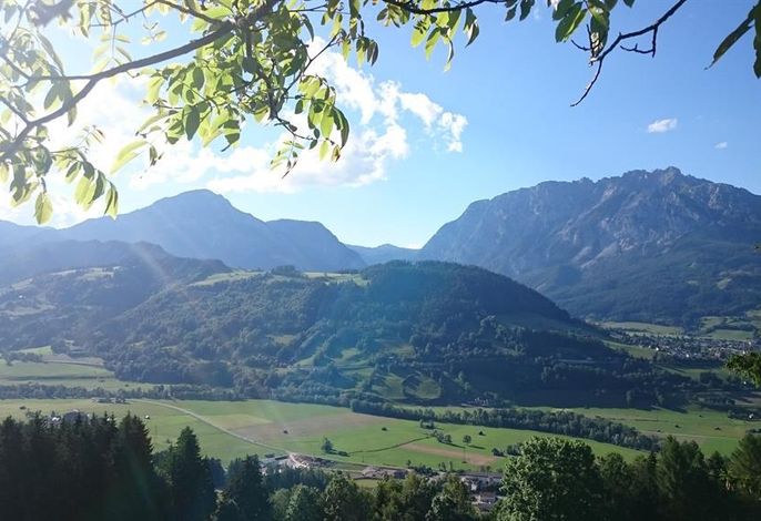 Bild 34