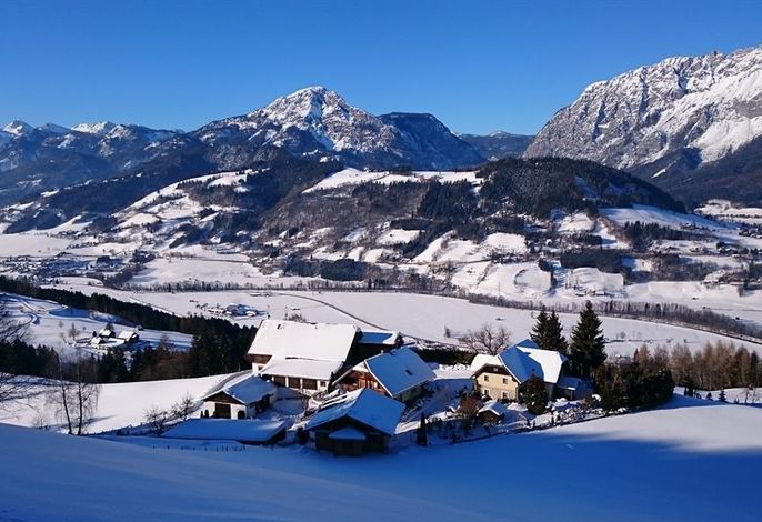 Bild 37