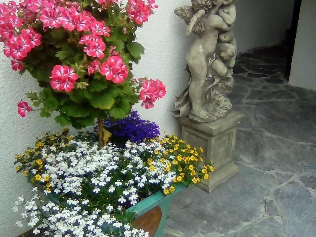 Apartment Gleinser