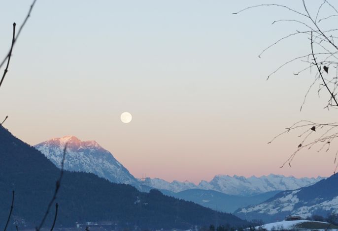 Bild 61