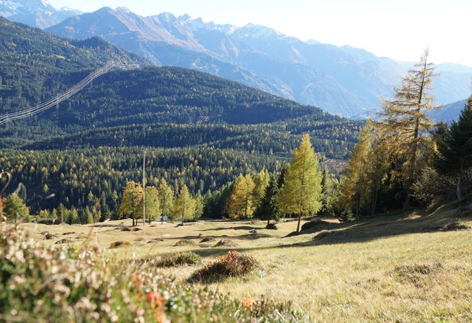 Bild 58