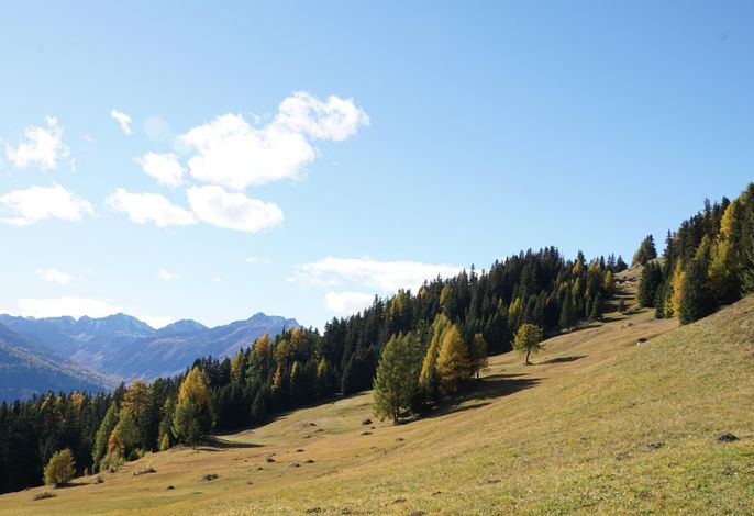 Bild 57