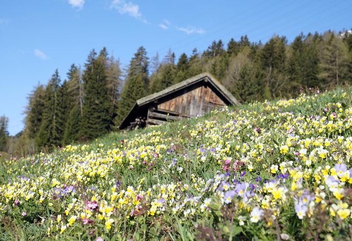 Bild 48