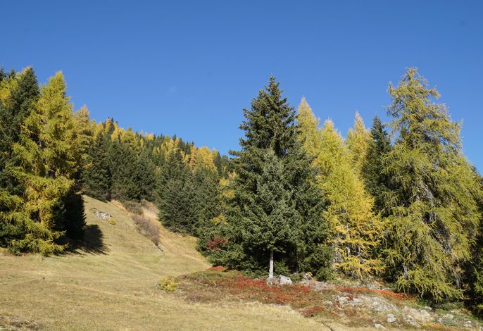 Bild 56