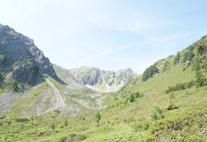 Bild 63