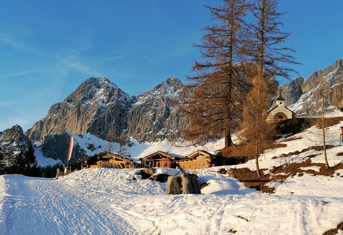 Bild 58